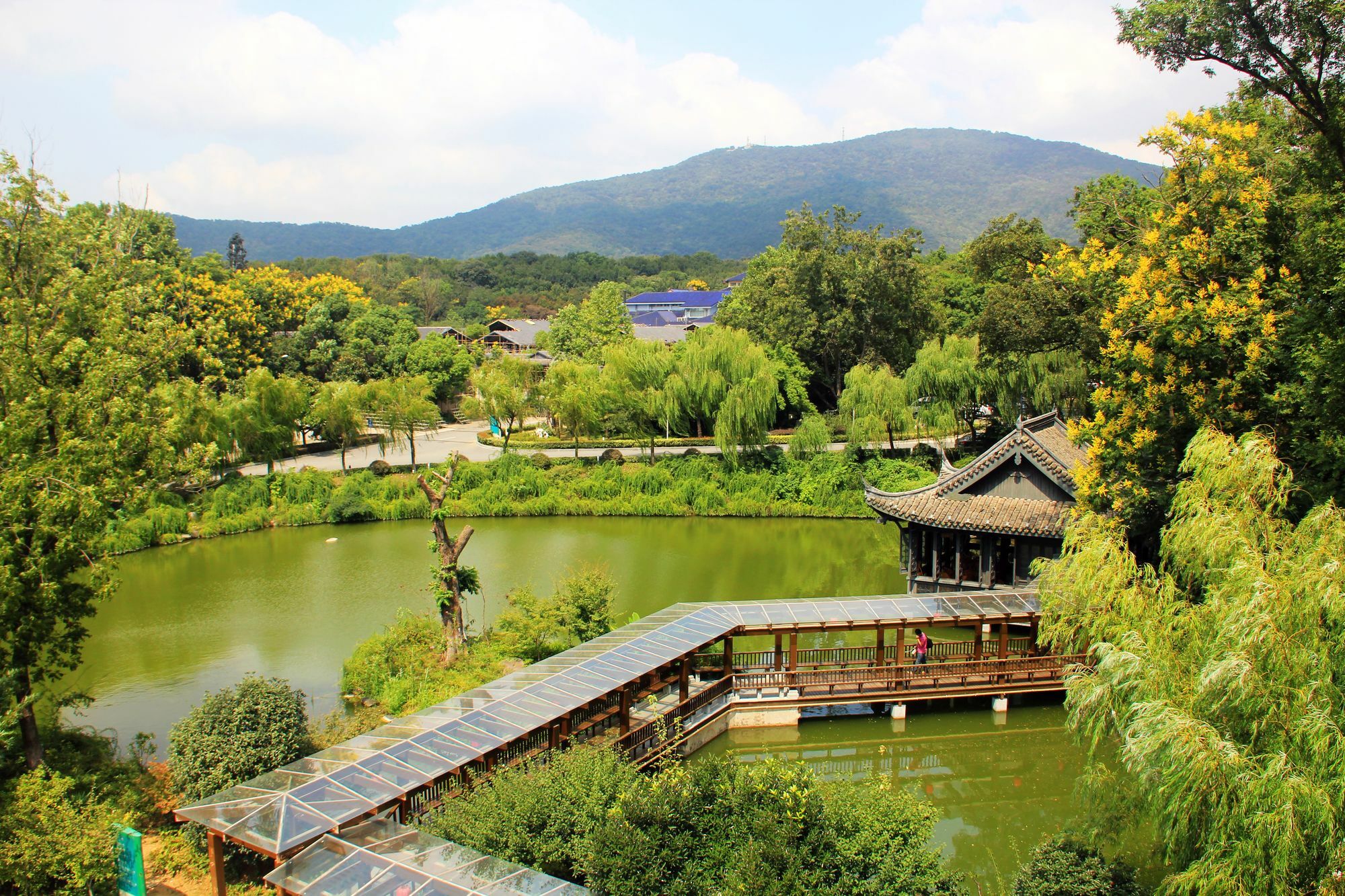 International Conference Hotel Of Nanjing Нанкин Екстериор снимка